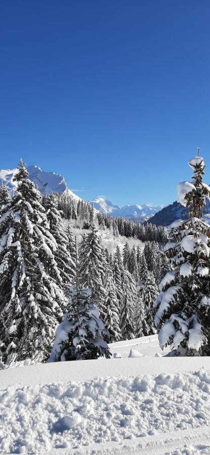 Studio Marmotte Font-Romeu 4 Personnes Avec Balcon Residence Val Soleil Entierement Renove En Juin 2021 Place De Parking & Wifi Gratuit , Draps & Serviettes De Toilettes Non Inclus, Sabanas Y Toallas No Incluidos Font-Romeu-Odeillo-Via Exterior foto